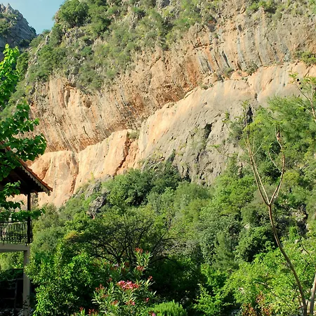 Dionysos Guest house 3*
