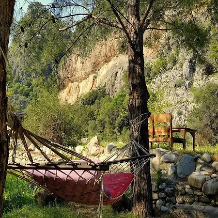 Guest house Dionysos Cirali