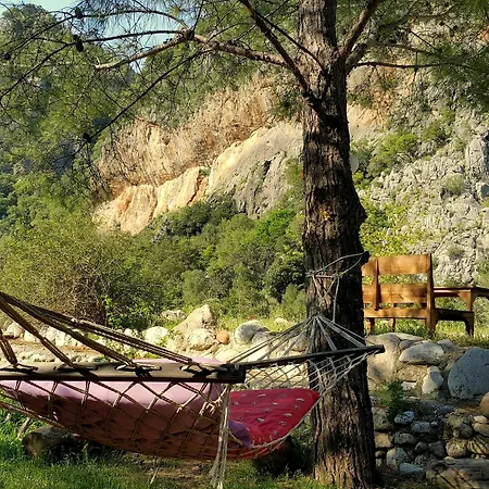 Dionysos Guest house