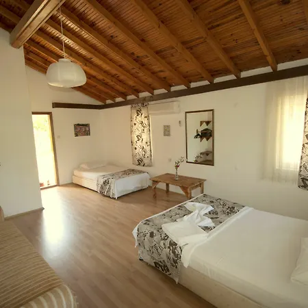 Guest house Dionysos 3*