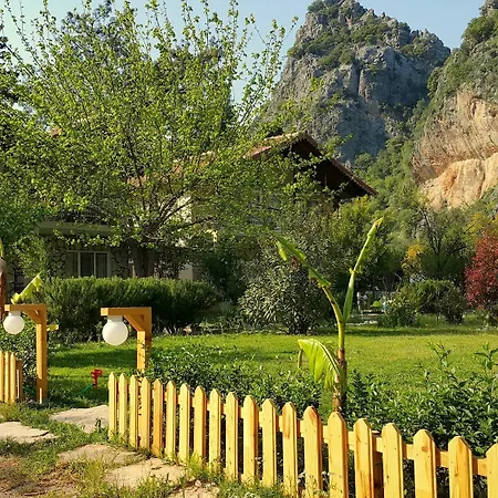 Dionysos Guest house Cirali